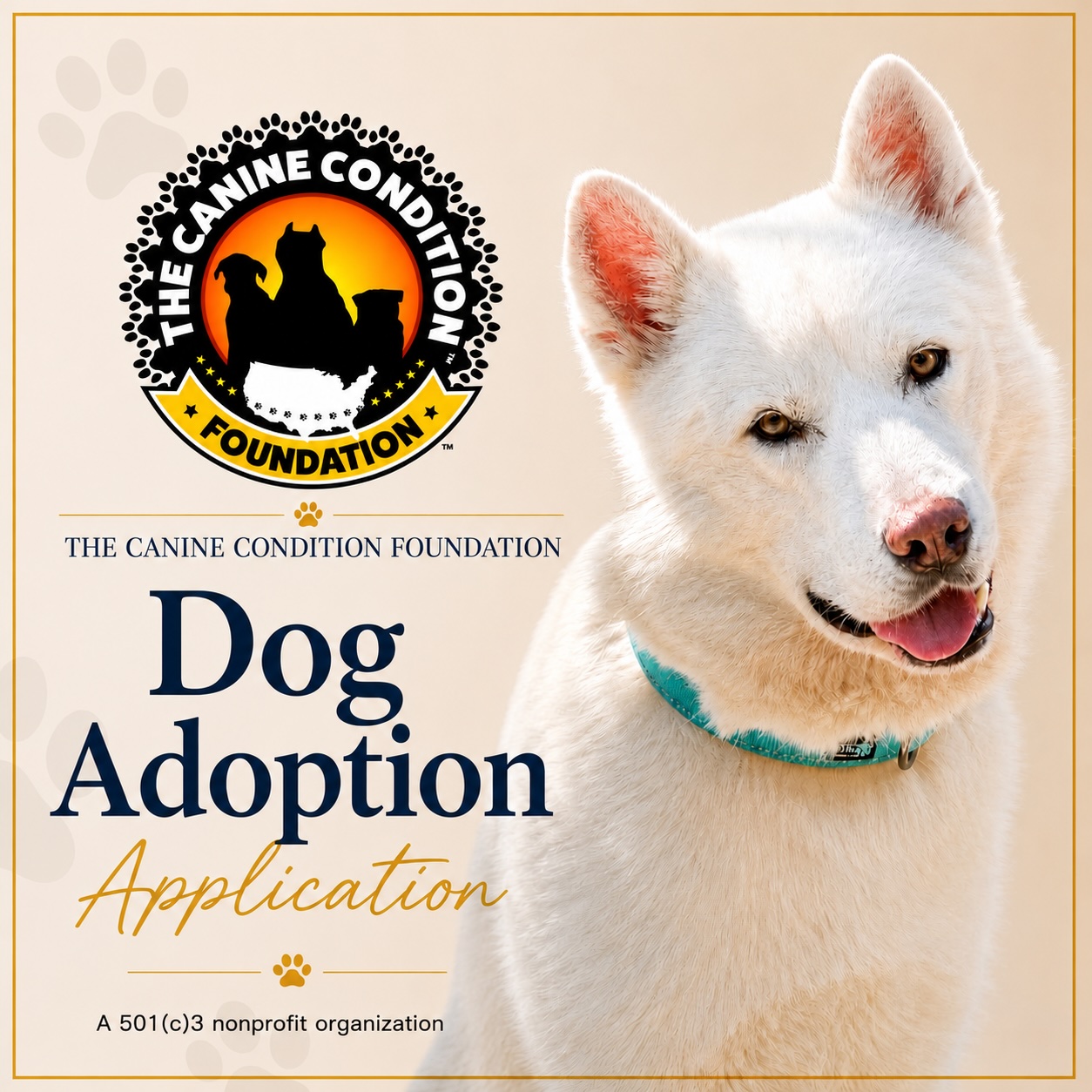 See Adoptable Dogs Available with us